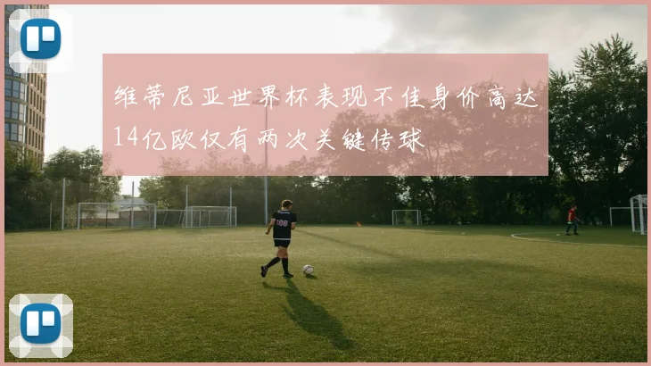 维蒂尼亚世界杯表现不佳身价高达14亿欧仅有两次关键传球